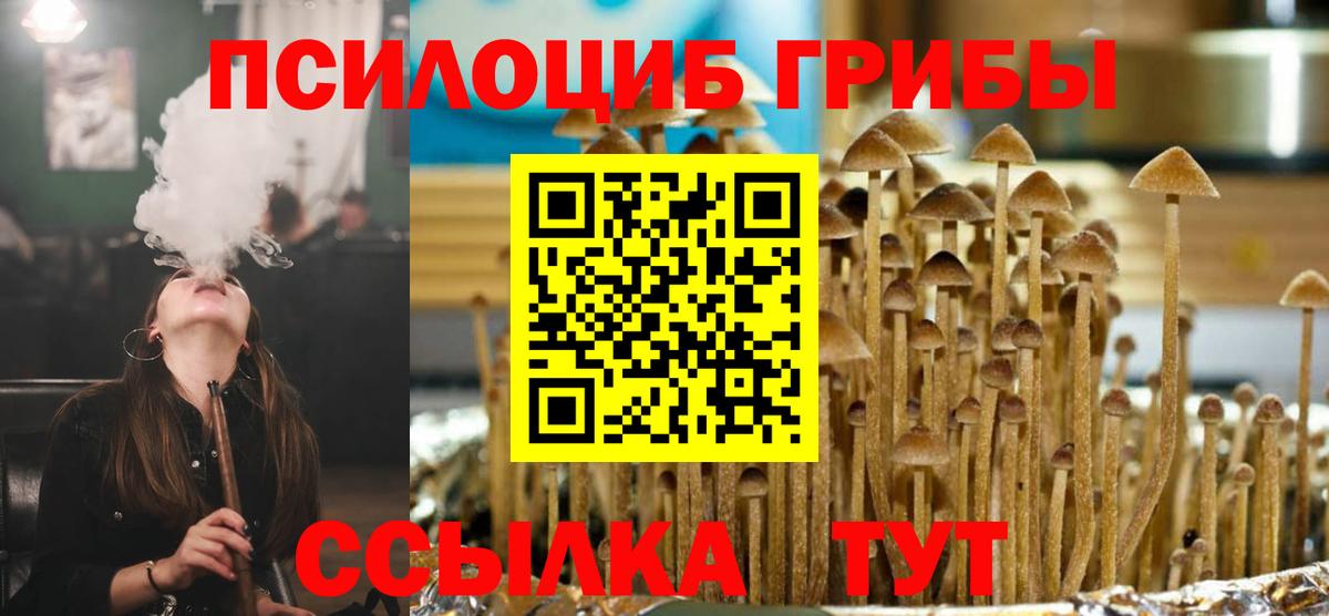 Галлюциногенные грибы Psilocybine cubensis Отрадный